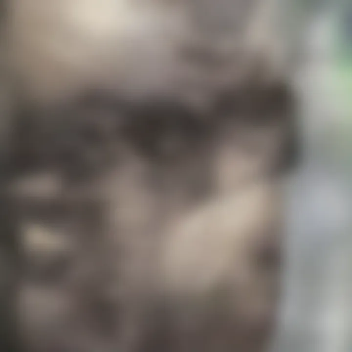 Magnificent Understanding Neurofibromatosis Type 3: A Comprehensive Exploration