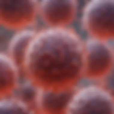 Microscopic Analysis of AML Cells Microscopic view of acute myeloid leukemia cells