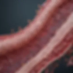 Histological representation of adenocarcinoma in transverse colon tissue