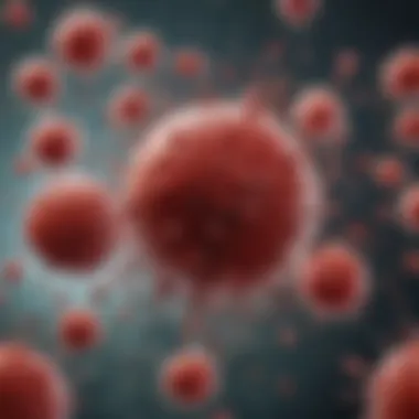 PBMCs in Immune Response Illustration depicting the role of PBMCs in the immune response