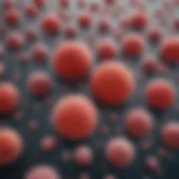 Microscopic view of peripheral blood mononuclear cells showcasing diverse cell types