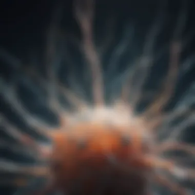 Neural Signaling Mechanisms Representation of neural signaling mechanisms