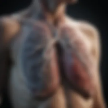 Lung scan highlighting asbestos-related damage