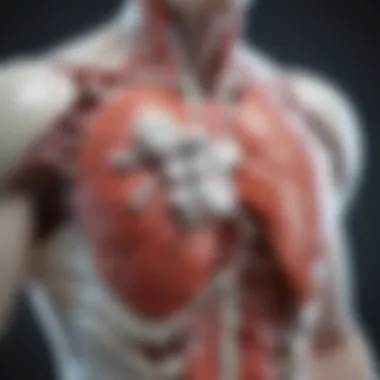 Aspirin's Mechanism in Cardiovascular Care Illustration of aspirin's mechanism of action in the cardiovascular system