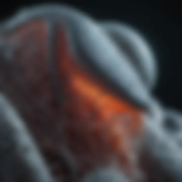Electron microscopy showcasing C. elegans anatomy