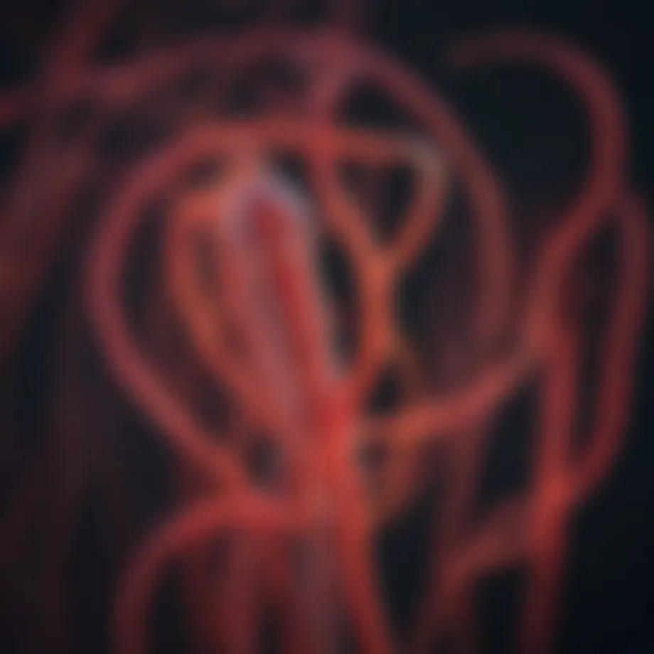 Microscopic view of C. elegans under fluorescence