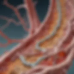 An illustration depicting the complex biochemical pathways involved in chronic gout without tophus.