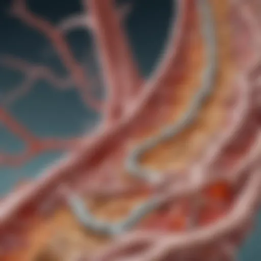 An illustration depicting the complex biochemical pathways involved in chronic gout without tophus.