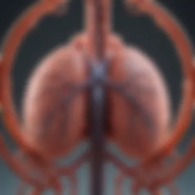 Impact of Pulmonary Hypertension on Quality of Life A visual representation of the impact of pulmonary hypertension on patient quality of life.