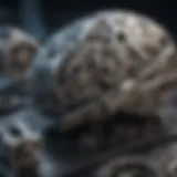 A brain with gears symbolizing cognitive learning.