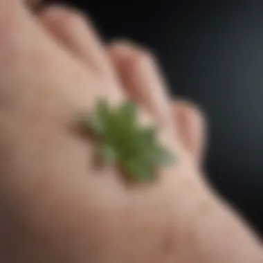 Natural remedies and lifestyle changes for skin care