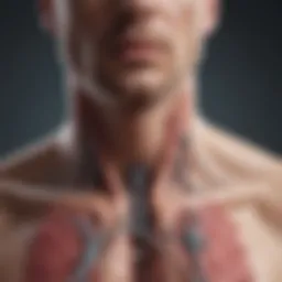 Detailed illustration of cystic fibrosis mechanisms