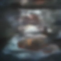 Comprehensive overview of dementia assessment tools