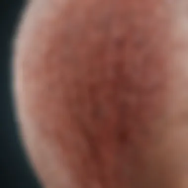 Visual representation of DHT's role in hair follicle biology