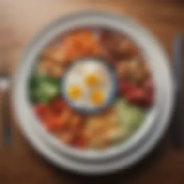 Nutritional Strategies for Type 2 Diabetes A diverse plate showcasing balanced meals for diabetes management