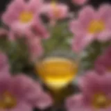 Chemical structure of evening primrose oil