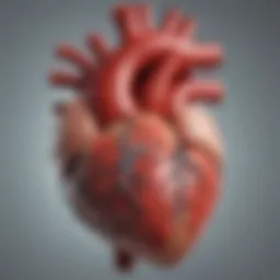 Diagram illustrating the pathophysiology of exacerbated heart failure