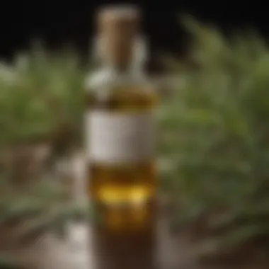 Tea Tree Oil and Leaves Tea tree oil bottle with fresh tea tree leaves