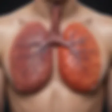 Diagram showcasing the complications arising from chronic pulmonary embolism.