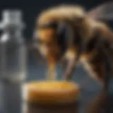 Bee venom extraction process