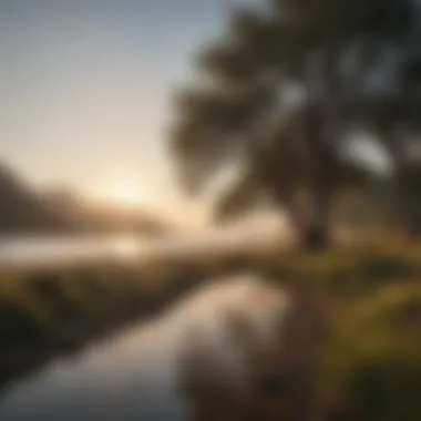 Tranquility and Fasting A serene landscape depicting tranquility and peace, evoking a sense of calmness associated with fasting.