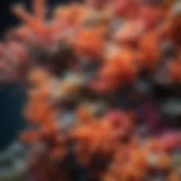 Vibrant coral reef showcasing natural pigmentation