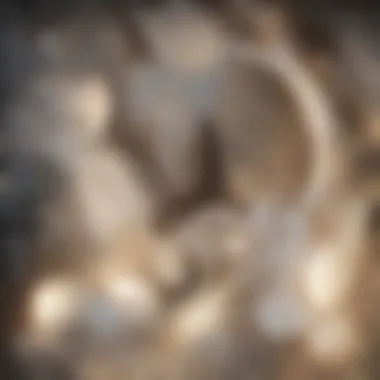 Key Ingredients of Hypho in Skincare A close-up view of hypho-derived skincare ingredients on a wooden surface