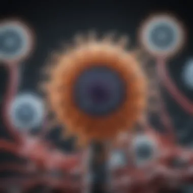 Mechanisms of Immune Modulation Diagram illustrating mechanisms of immune modulation