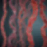 Detailed view of genetic strands showcasing hereditary disorders