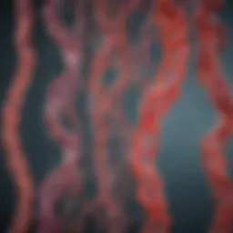 Detailed view of genetic strands showcasing hereditary disorders