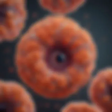 Applications of Organoids in Disease Modeling Graphical representation of organoid applications in disease modeling