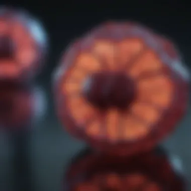 Future potential of iPSC organoids in biomedical research