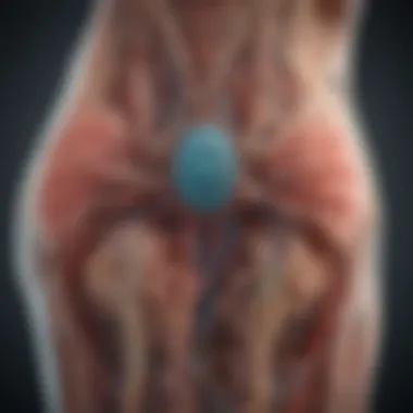 Understanding Nerve Pathways in Neuropathy Neuropathy representation with nerve pathways