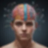A brain illustrating neurodevelopmental pathways related to autism.