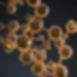 Chemical structures of fatty acids