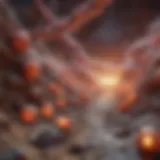 Graphical representation of SCC metastasis pathways