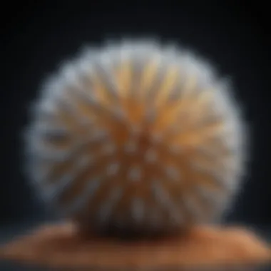 Structure of Sonic Hedgehog Protein Sonic Hedgehog protein structure