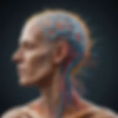 Neurological Connections in Hirschsprung Disease and Autism Illustration depicting the neurological pathways affected in Hirschsprung disease and autism.
