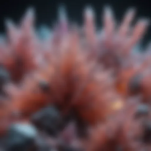 Representation of uric acid crystals under a microscope