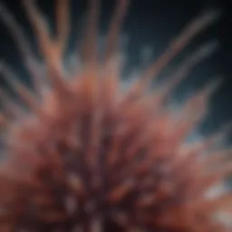 Nanorods under a microscope showcasing their unique structural properties