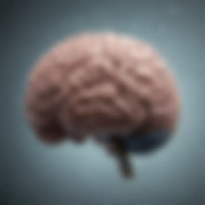 The brain's response to stress