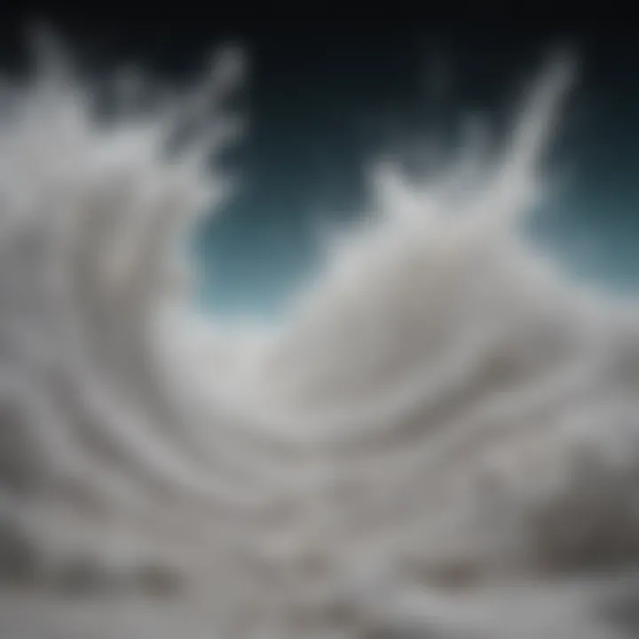 The intricate movement of salt between ocean and land