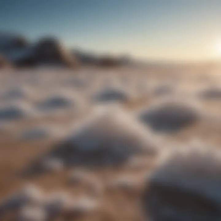 Sources of natural salt in the environment