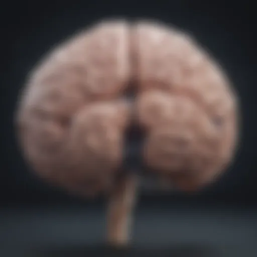 Illustration showing the brain highlighting areas affected by Alzheimer's.