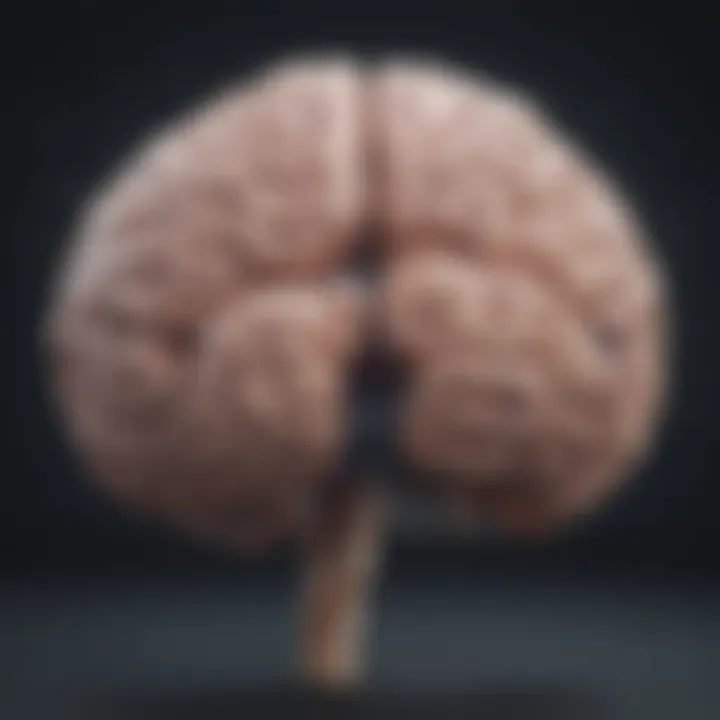 Illustration showing the brain highlighting areas affected by Alzheimer's.