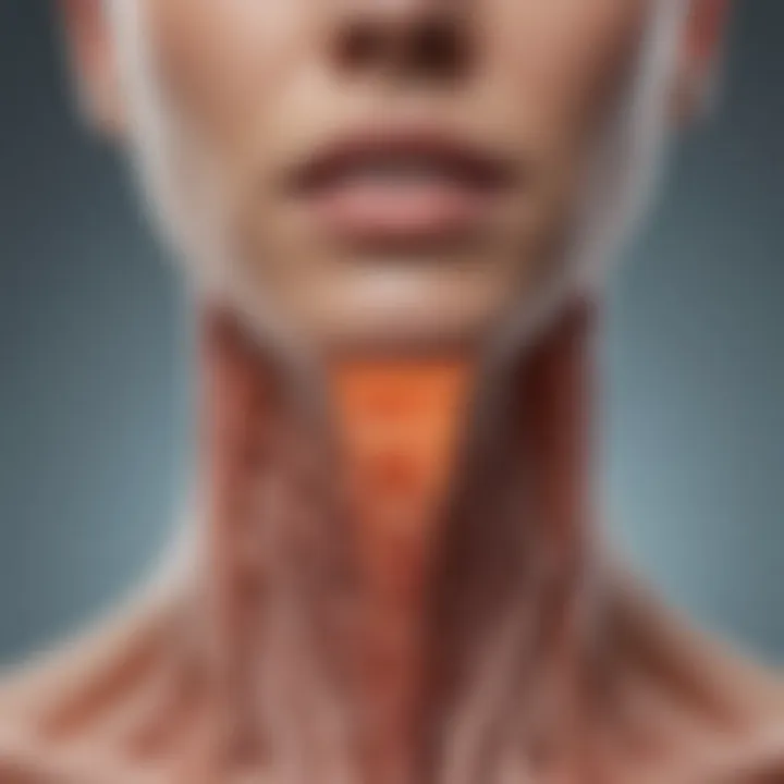 Infographic outlining the health implications of thyroid follicle dysfunction.