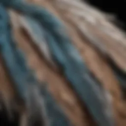 Detailed view of avian feathers under a microscope showcasing potential allergens.