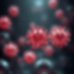 Illustration of fourth generation lentiviral vector structure