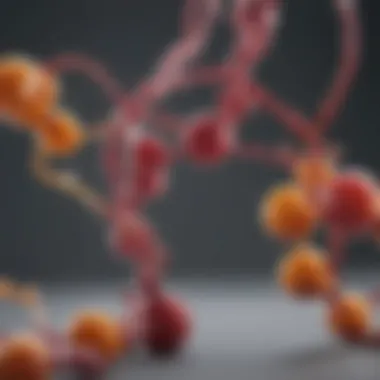 Understanding the Metabolism of Fructose Fructose metabolism pathway