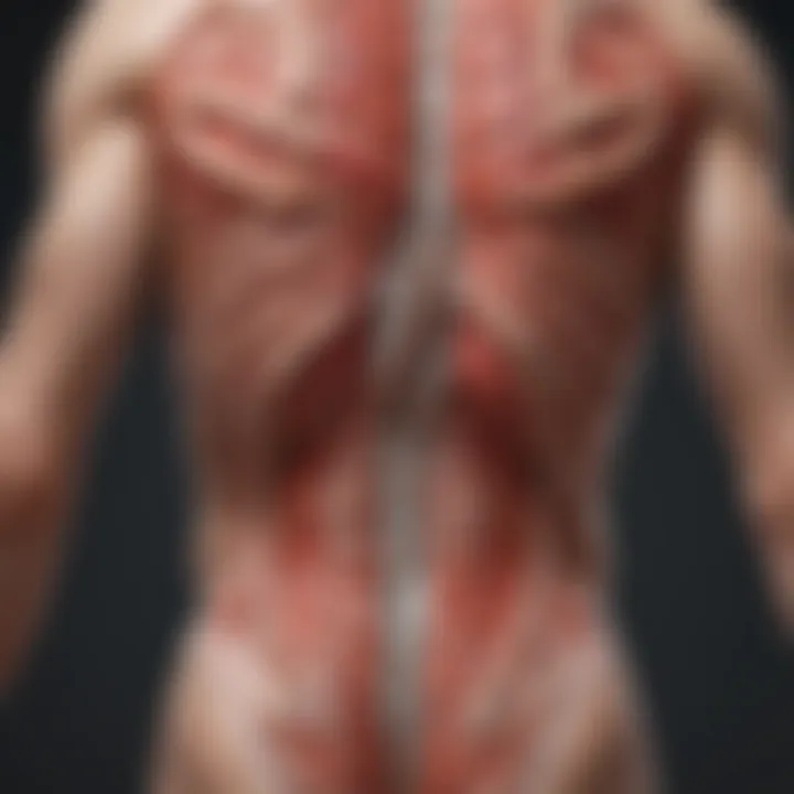 Diagram illustrating the pathophysiology of neuromuscular disorders.